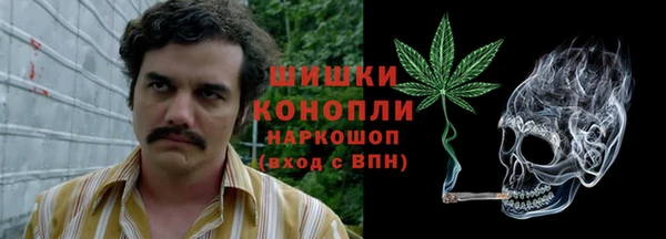 дмт Ростов